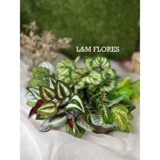 Buquê de Matinho artificial com 5 folhas ideal para arranjos e decoração de escritório, loja, casamento, casa em Oferta na Shopee