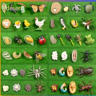Brinquedo Do Deserto Crianças Kindergarten Didáticas Ciclo Da Vida Libélula Borboleta Joaninha Animais Ciclo Do Crescimento Simulação