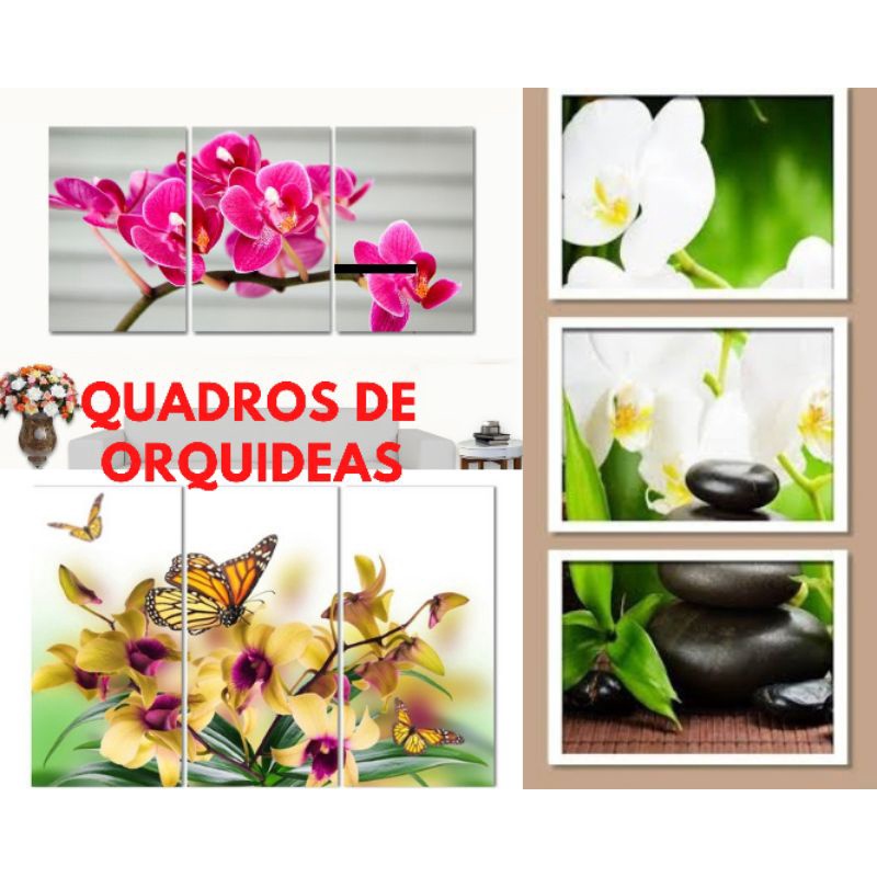 Quadros decorativo flor Orquideas diversas | Shopee Brasil