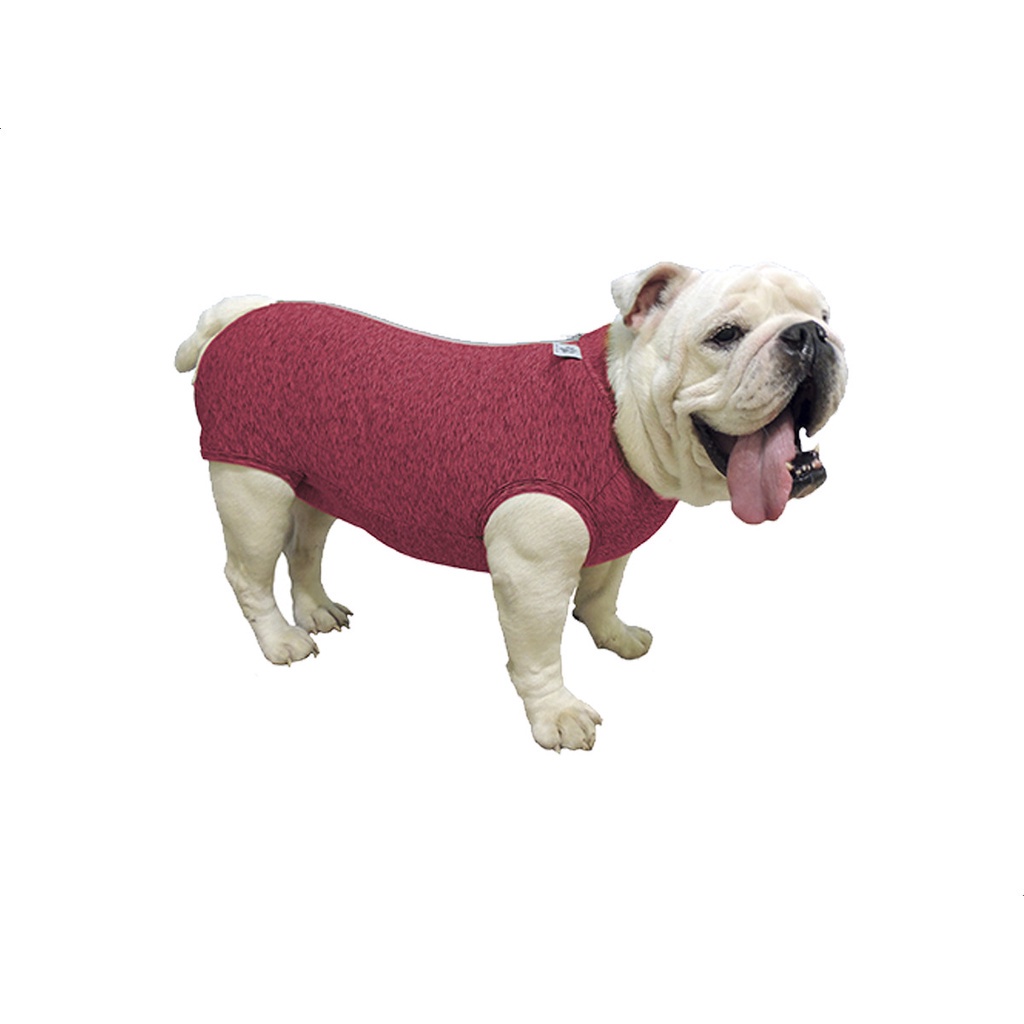 Roupa Protetora Pós Cirúrgica Buldogue Inglês Pet Med P - Rosa