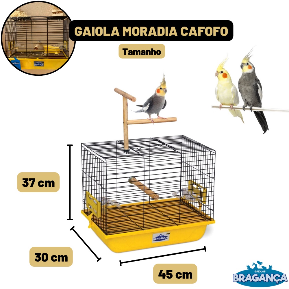 Gaiola Viveiro Criadeira Calopsita com Poleiro Bragança Ouro Velho Agapornis Ring Neck Luxo Acessórios Aramado
