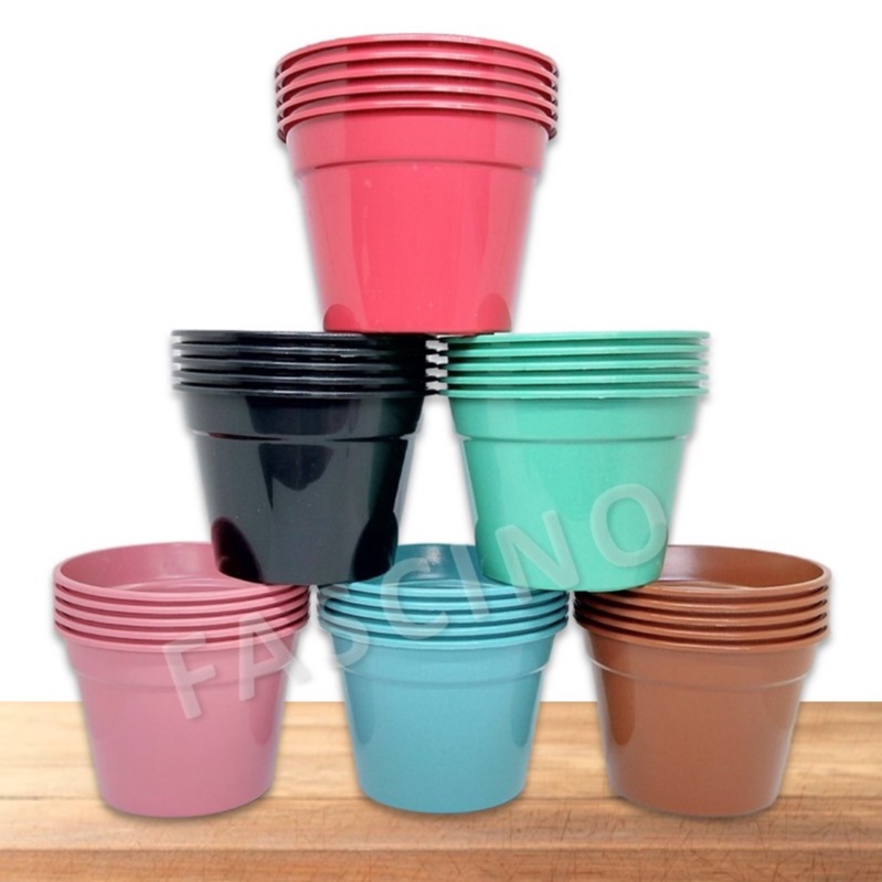 Kit 30 ou 50 Vasos Coloridos 480ml Para Suculentas e Cactos em Oferta na Shopee