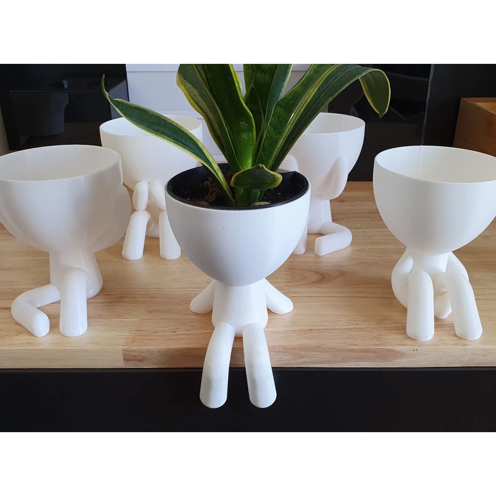 Robert Plant vaso 12cm com inserção para melhor oxigênio para sua planta