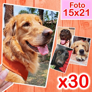 Revelar Fotos 15x21 (30 Unidades) em Oferta na Shopee