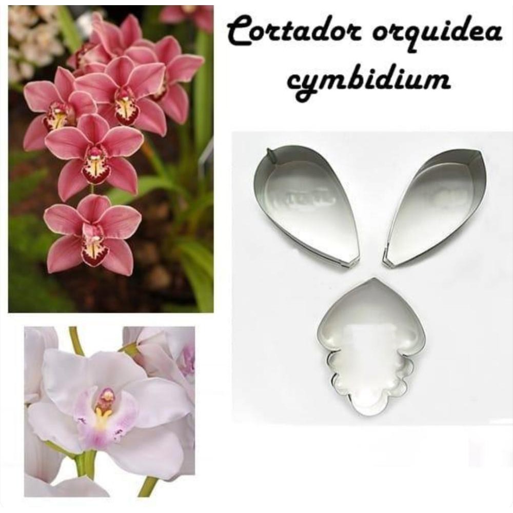 Cortador Orquidea Cymbidium Shopee Brasil