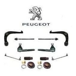 Kit Completo Suspensão 206 207 Hoggar Tudo Novo + 1ª Linha