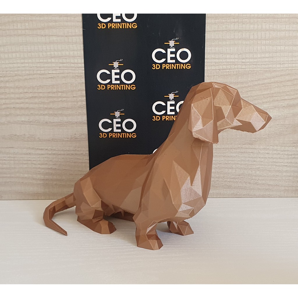 Basset Teckel: Guia Completo e Onde Comprar | BuscaProdutos