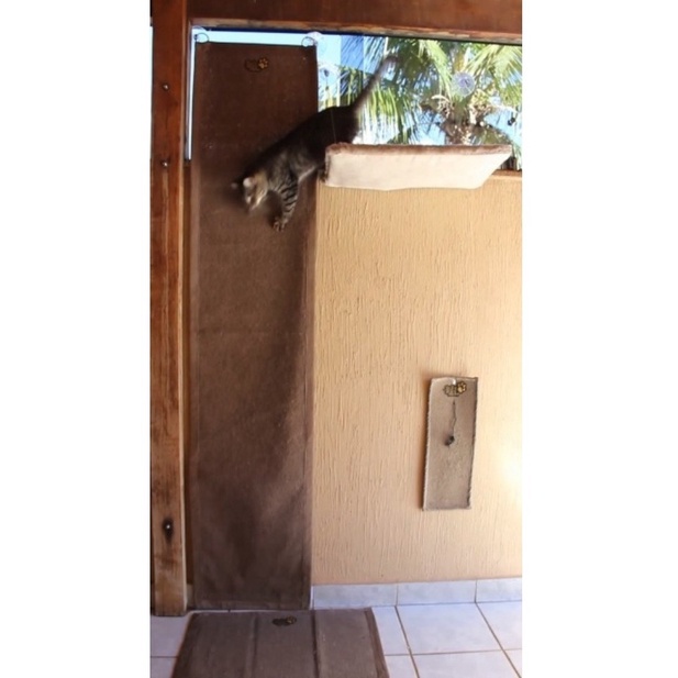 Tapete Escalador Arranhador Para Gato Moveis E Paredes Fixo