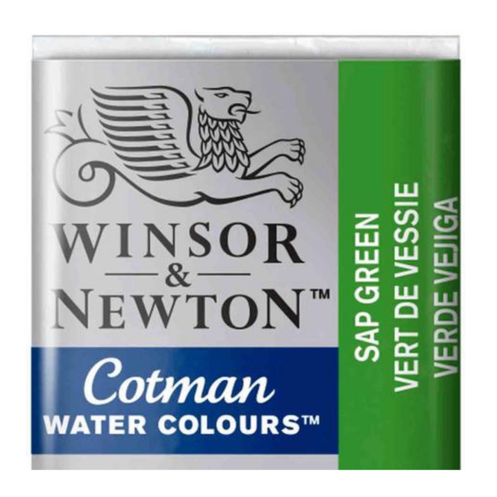 Aquarela Winsor & Newton Cotman Pastilha 599 Sap Green