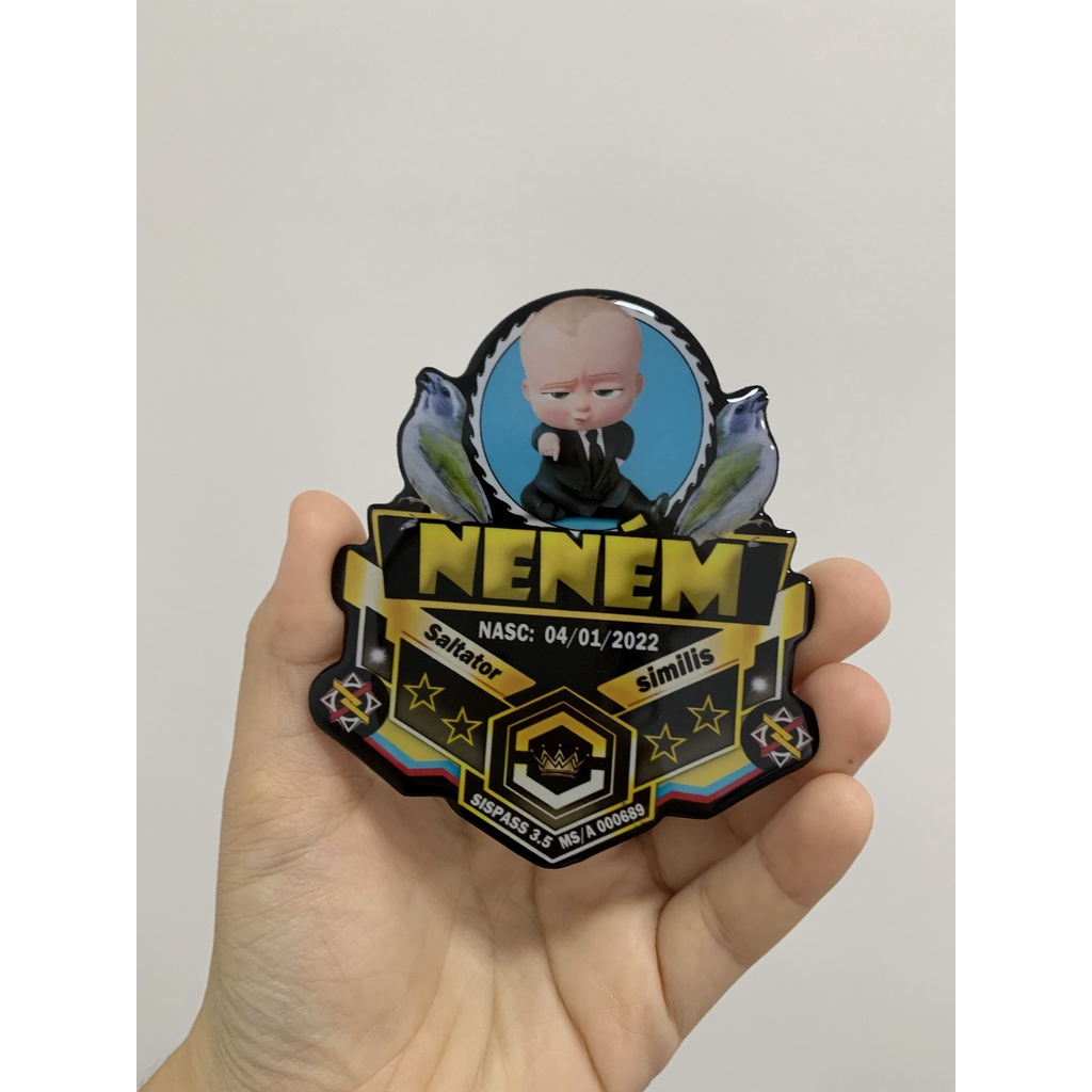 Placa de Gaiola Personalizada para Pássaro Resinada bebê coleiro, trinca, galo campina, sabiá, frade, chachao, pintassilgo, curió, azulão, sibite, calopsita, bico veludo, bigodinho, tiziu,tarin, tie sangue, tico tico, pardal, etc