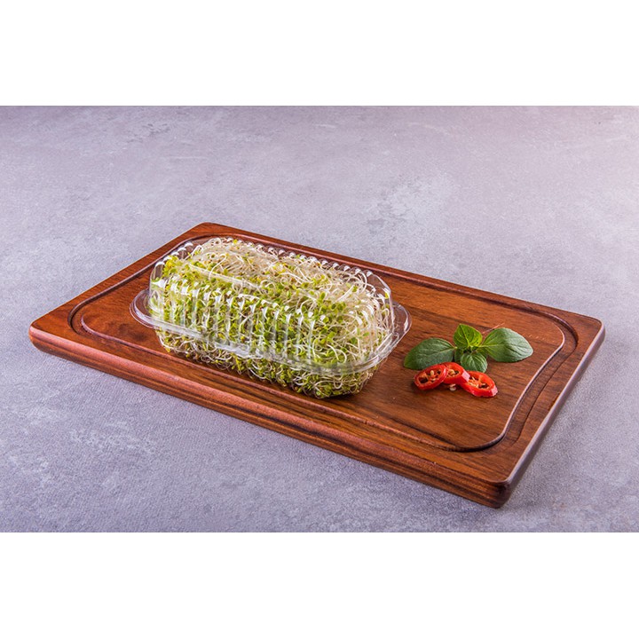 10 Embalagem Vitrine para frutas, verduras e legumes hortifrúti FLV  com furo Ref.: G 10 c/ Furos - Stationery