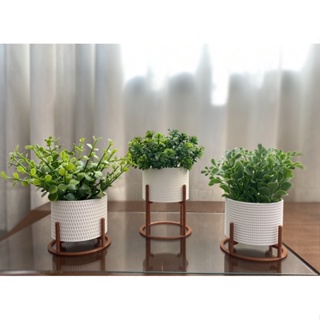 Kit 3 Vasos Cachepot Mini Decorativo Mini Cactos Suculentas Plantas Artificiais Naturais Decoração Sala Escritório em Oferta na Shopee