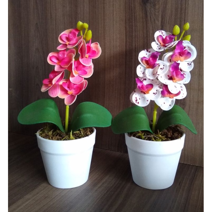 Arranjo de Orquídea Permanente UmVasinho Branco - Roxa e Branca / Rosa  Salmon | Shopee Brasil