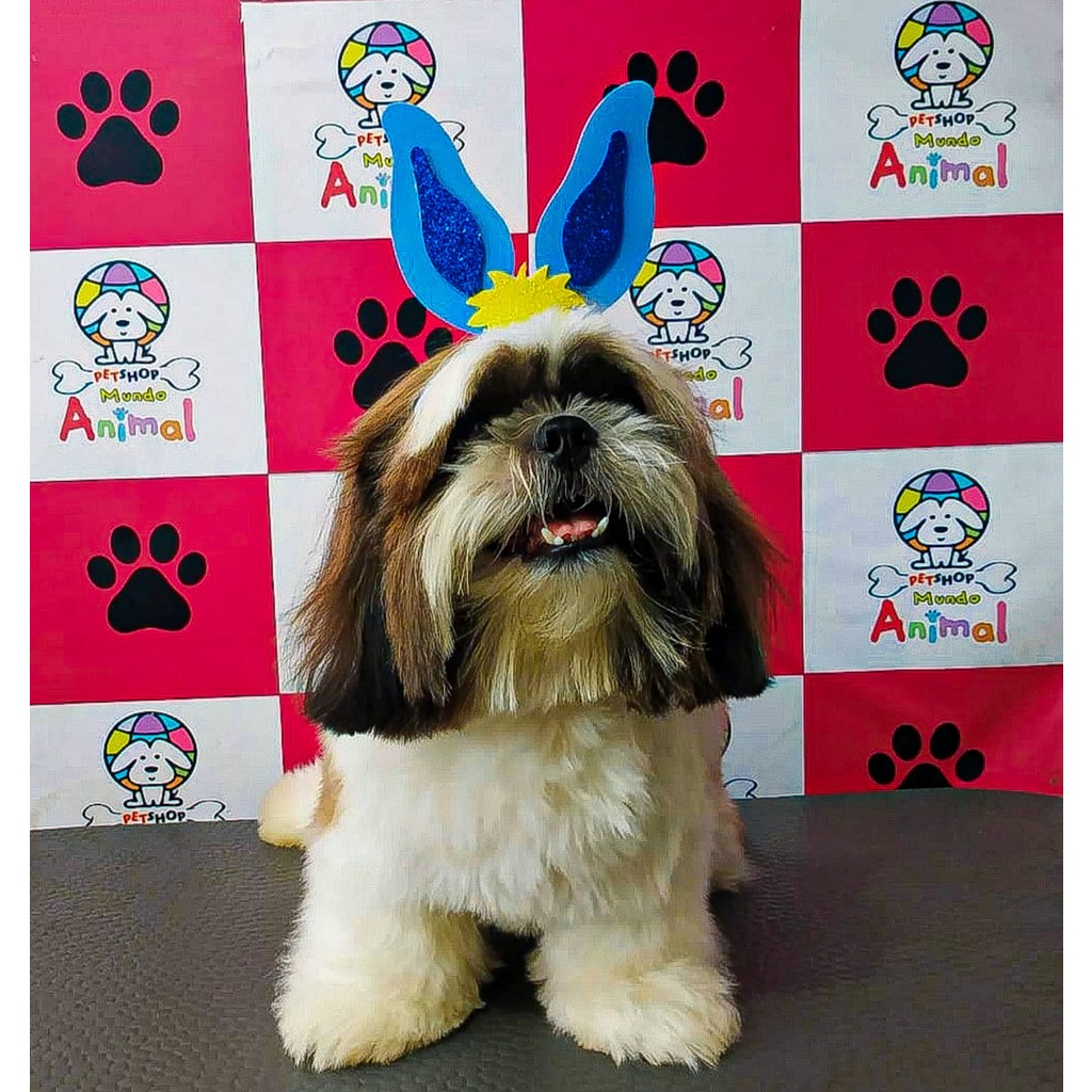 45 LAÇOS PET PÁSCOA ORELHAS DE COELHO Pet Shop Banho e Tosa Laço Cachorro Fêmea Cão Lacinho Gravata Pet