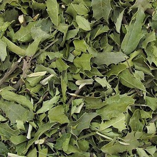 Chá De Espinheira Santa Verdadeira 100% 1kg Para Sua Saúde