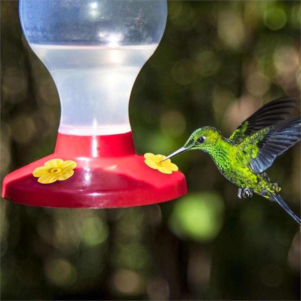 Shangyi3 Plastic Flowers Shape For Hummingbird Feeder Water Bird Feeder Part Hummingbird Feeding Port Multicolor Shopee Brasil