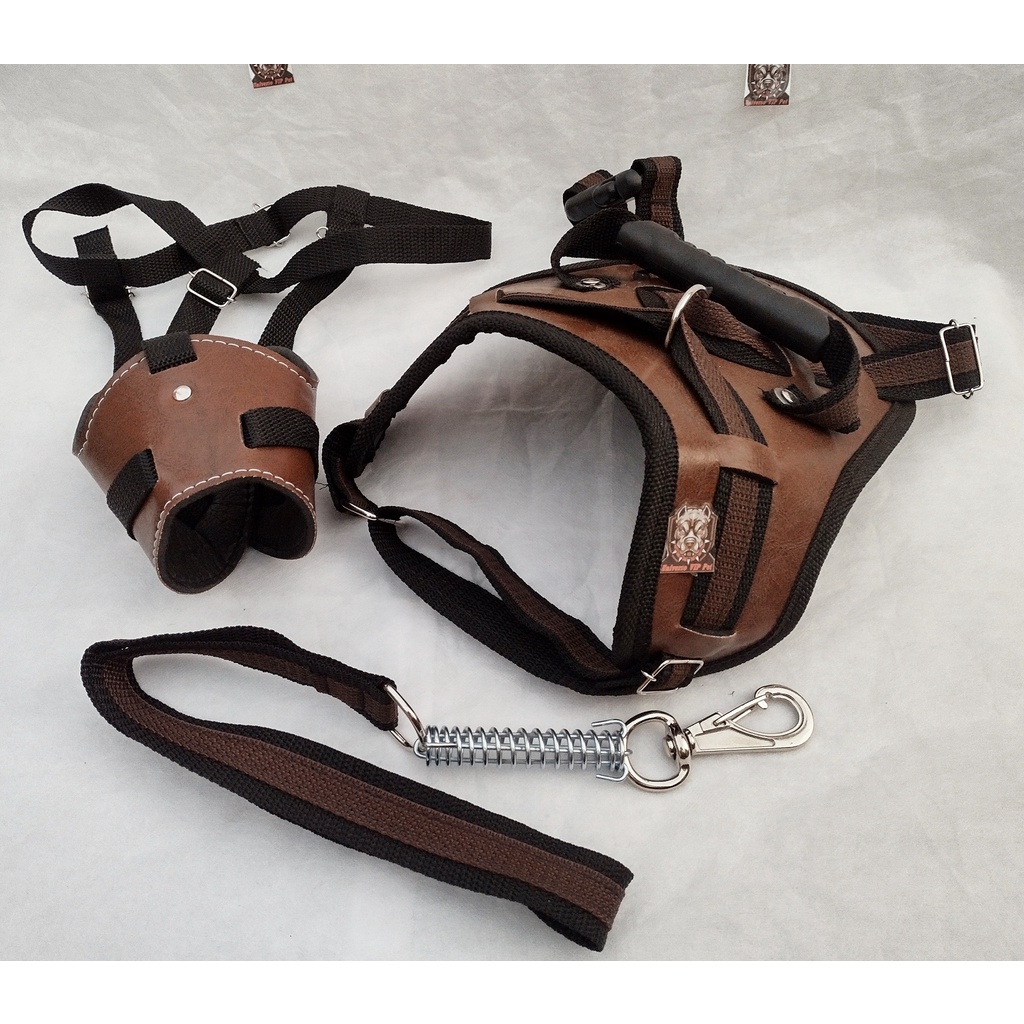 Guia para Pit Bull: Onde Comprar | BuscaProdutos