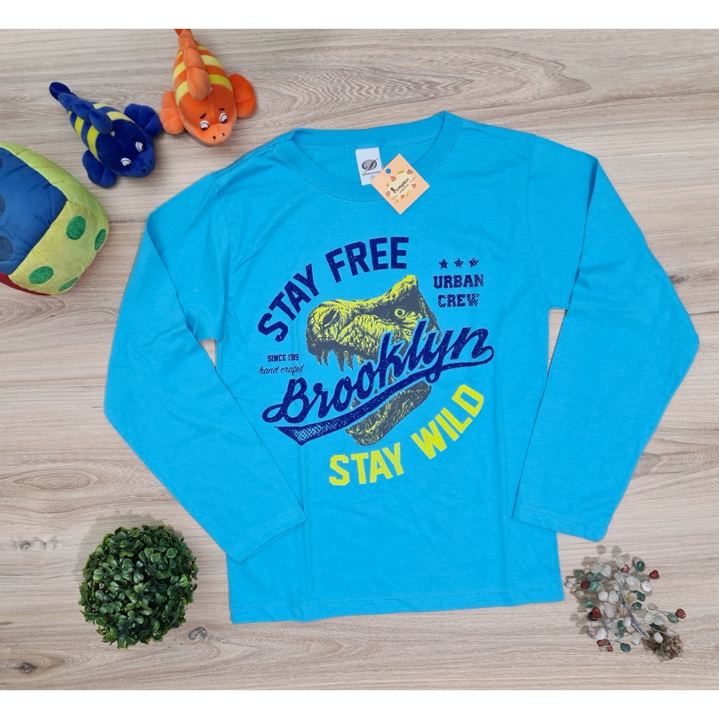 Camiseta Masculina Infantil Azul Tamanho 10