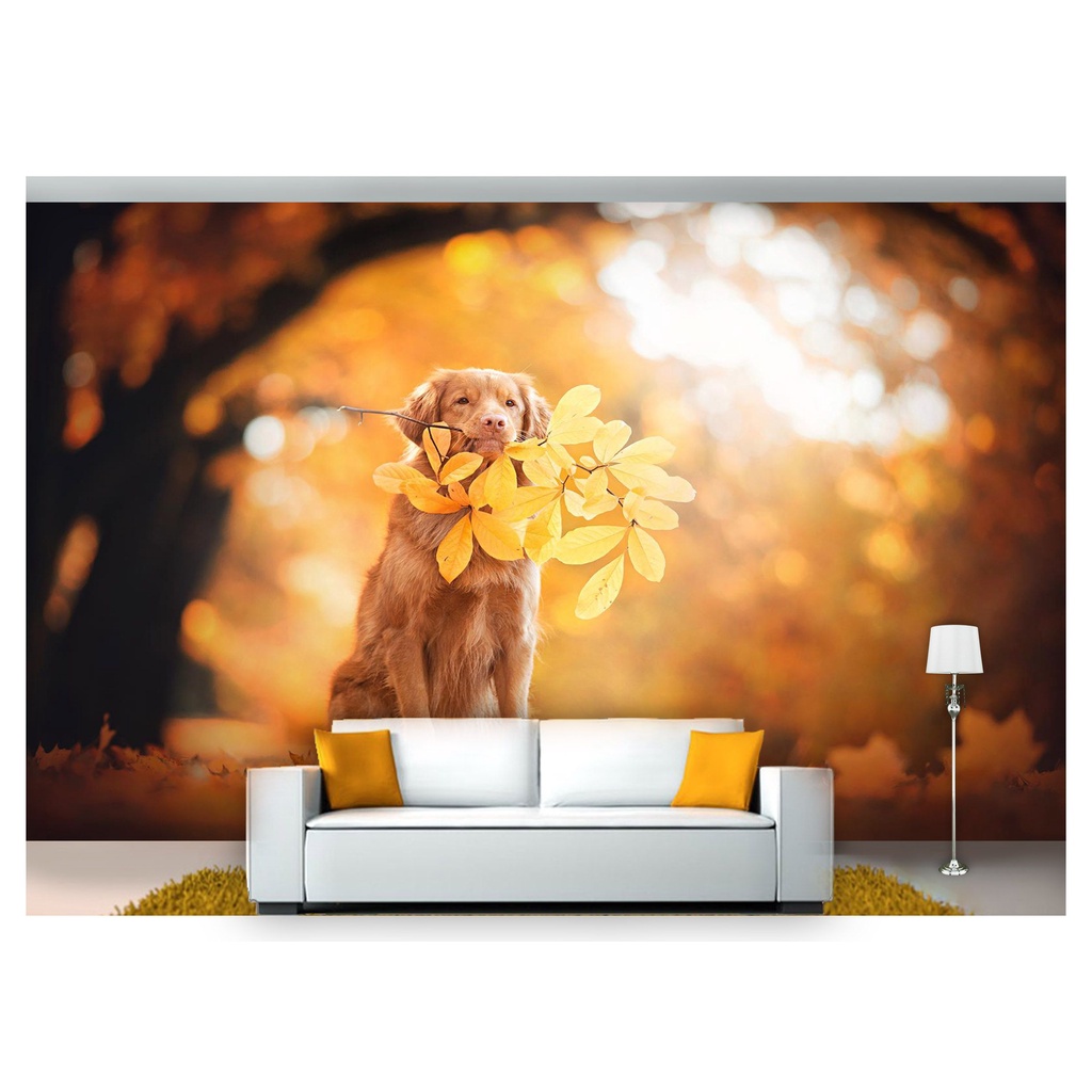 papel de parede Animais cachorro galho 3D 7,5m² ANM118