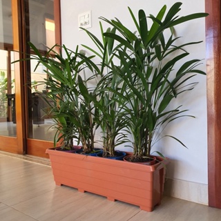 Vaso Jardineira para Plantas Floreira de Plástico de Jardim em Oferta na Shopee