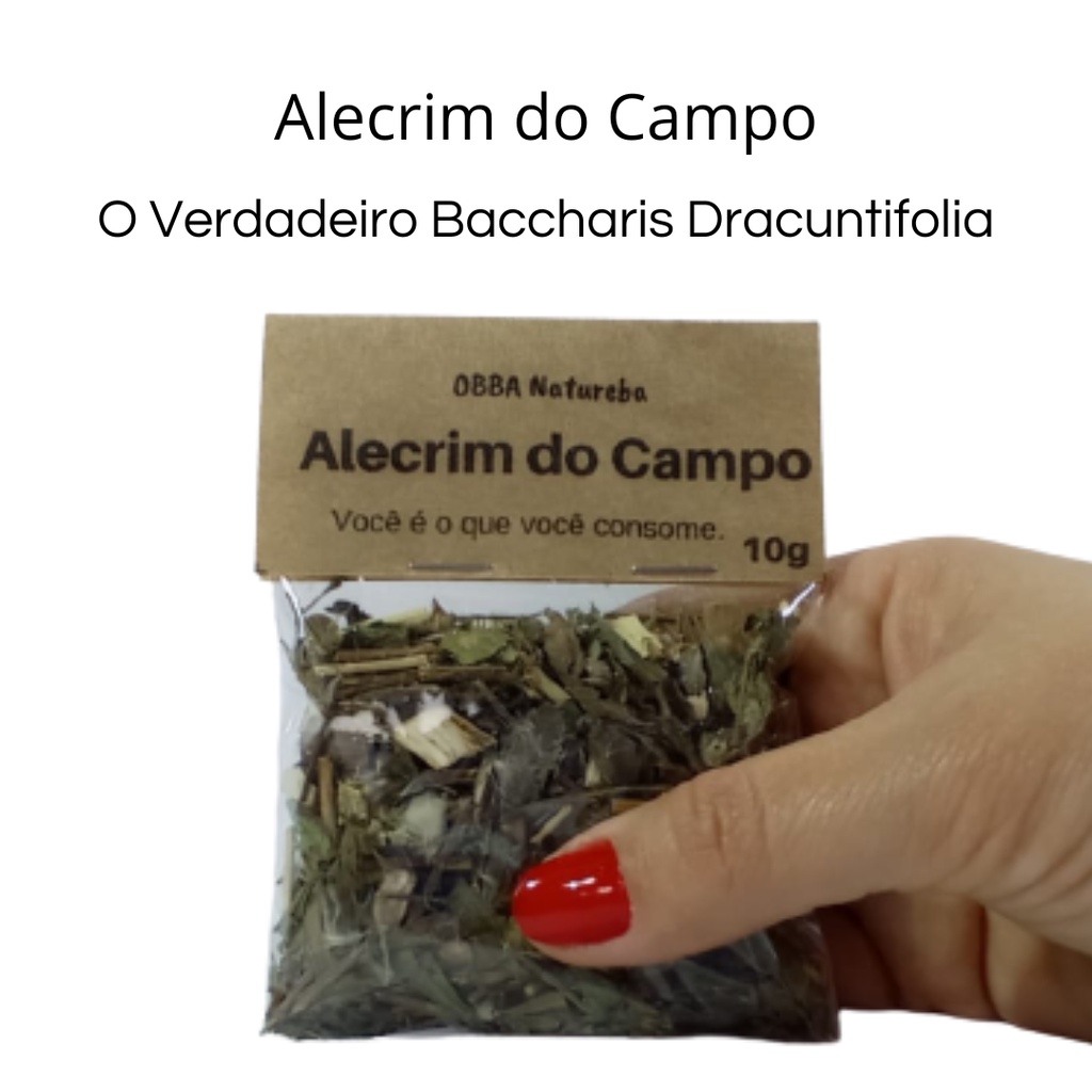 Chá Alecrim do Campo Original - Vassourinha - Vassoura de Bruxa - Folhas Desidratada para Cha - Baccharis Dracuntifolia 100% Puro