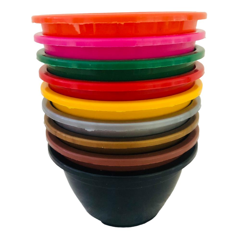 Kit 50 Mini Vasos Cuia 8 cm 170ml COLORIDOS para mini suculentas e mini cactos