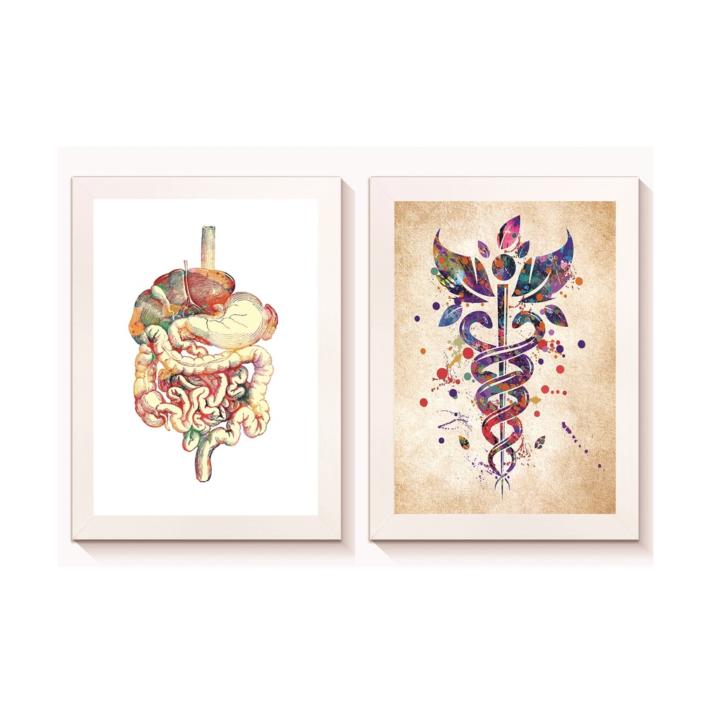 Kit 2 Quadros Decorativos Sistema Digestivo Símbolo de Medicina Gastroenterologia Medicina Molduras 20x30cm Madeira