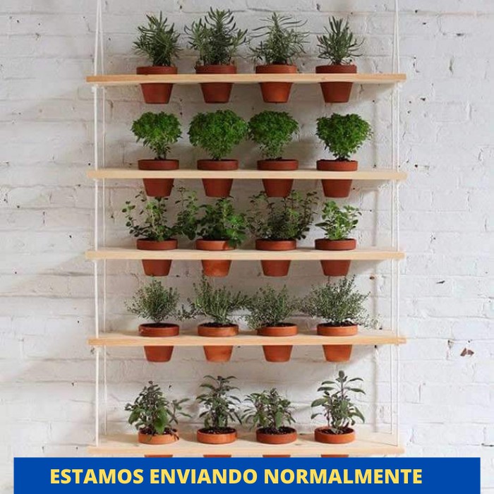 Jardim Suspenso Com 5 Prateleiras Verticais +brinde 20 Vasos — imagem 2 de 2