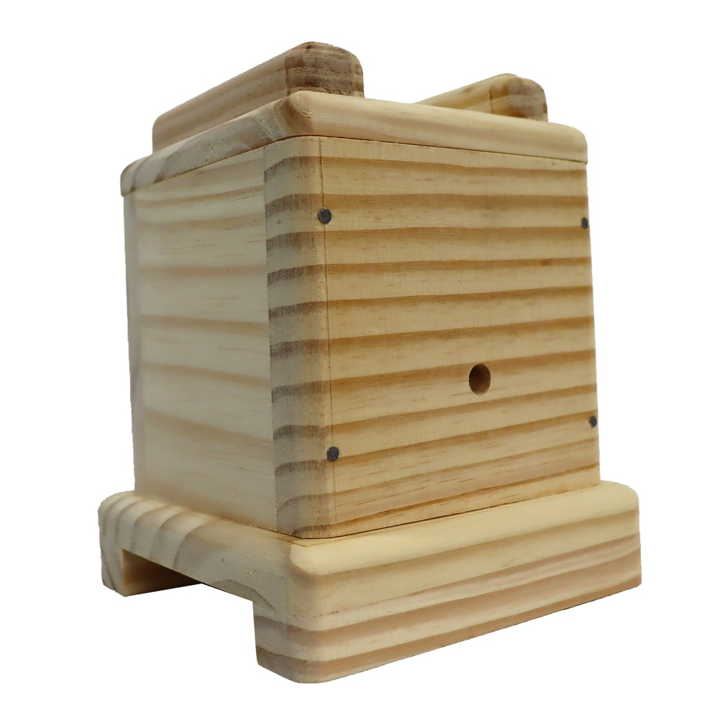 Caixa Para Abelha Jataí mirim Guaçu 12x12 cm interno Ninho e tampa com encaixe e acetato