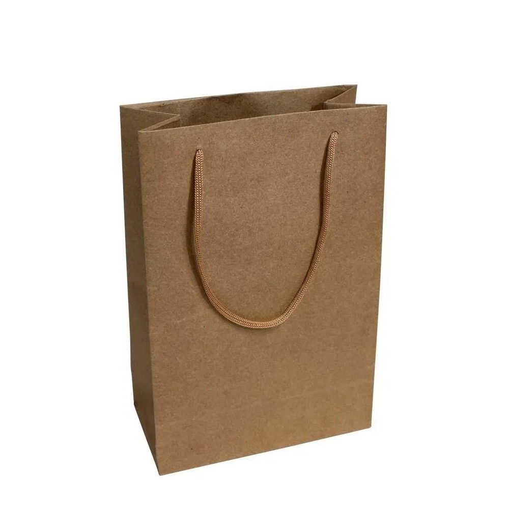 30 Sacolas Kraft 25x17x6cm Bolsa Papel 110 Gramas Presentes Delivery Comércio em Oferta na Shopee