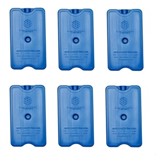 Gelox Placa Gelotech Gelo Reutilizável Rígido 200 ml kit 6 em Oferta na Shopee