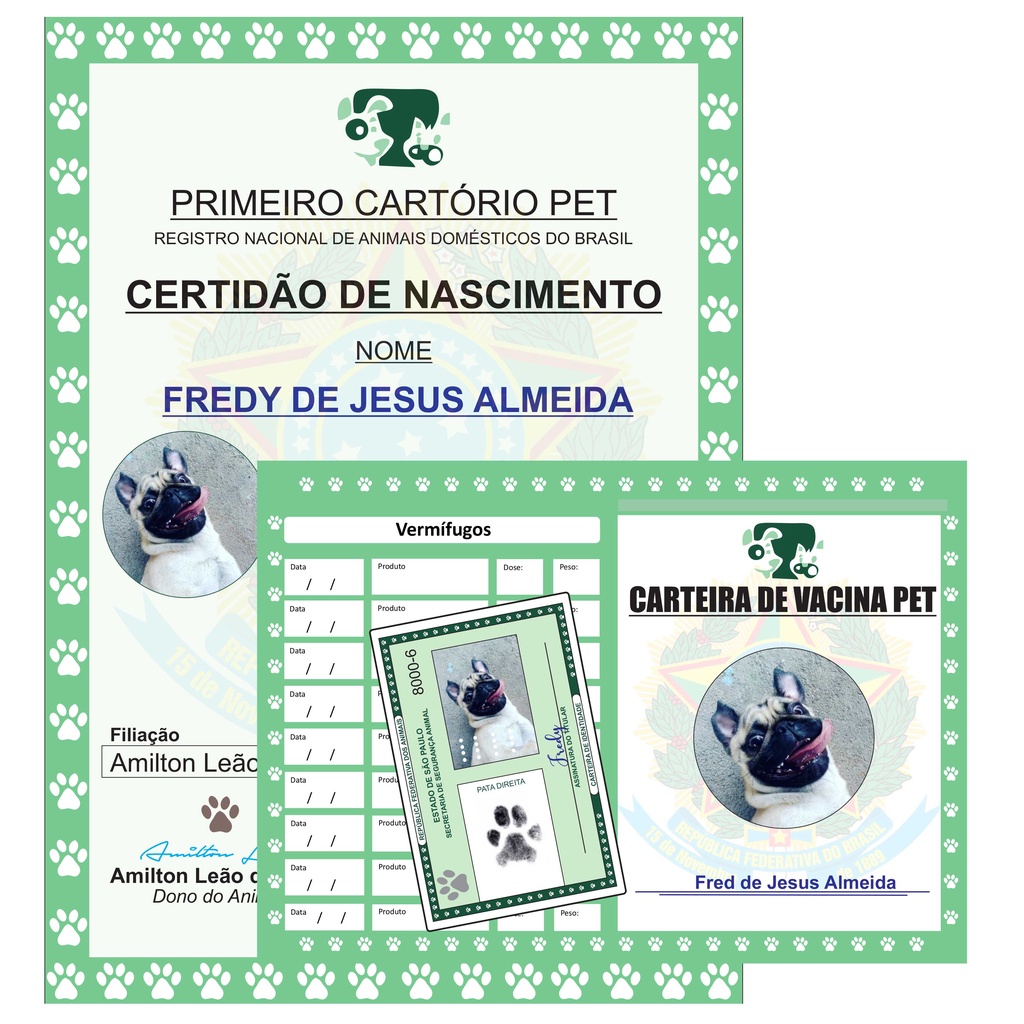 Kit Rg Pet Certidão Nascimento Pet Cartão Vacina Pet Placa