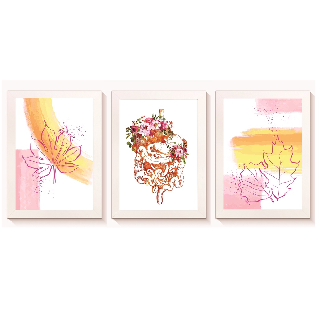 kit 3 Quadros Decorativo Sistema Digestivo Florido Tamanho 20x30cm Molduras Madeira Vidro Brancas