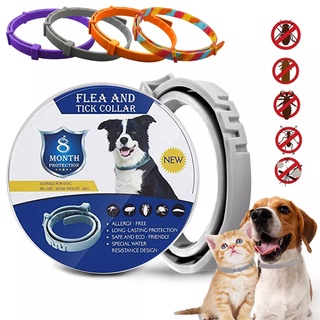 Coleira Anti Pulga Carrapato Leishmaniose Cão Coloridas higiene e limpeza para cão