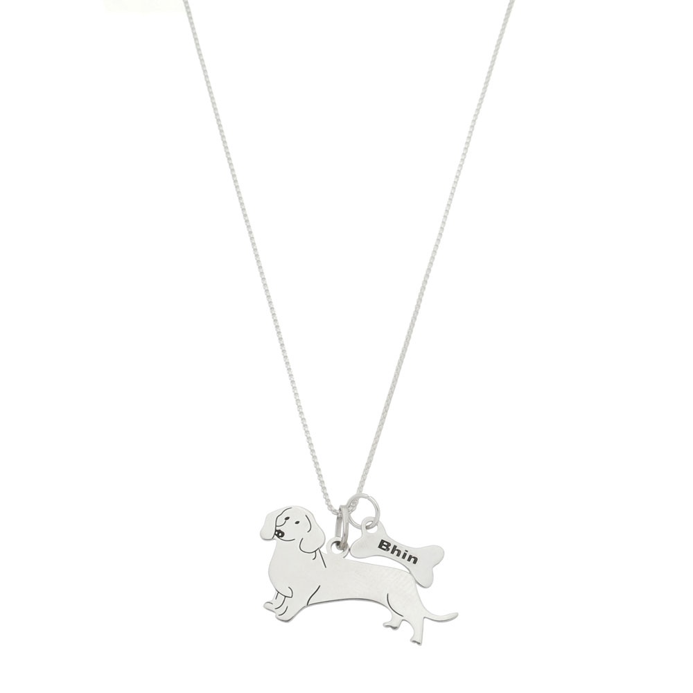 Racas de Cachorro Salsicha: Onde Comprar | BuscaProdutos