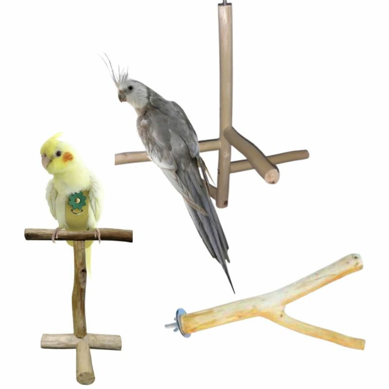 Kit pet 1 poleiro garfo, 1 poleiro móvel, 1 poleiro, 4 braços para calopsitas, agapornis, periquitos e outros pássaros