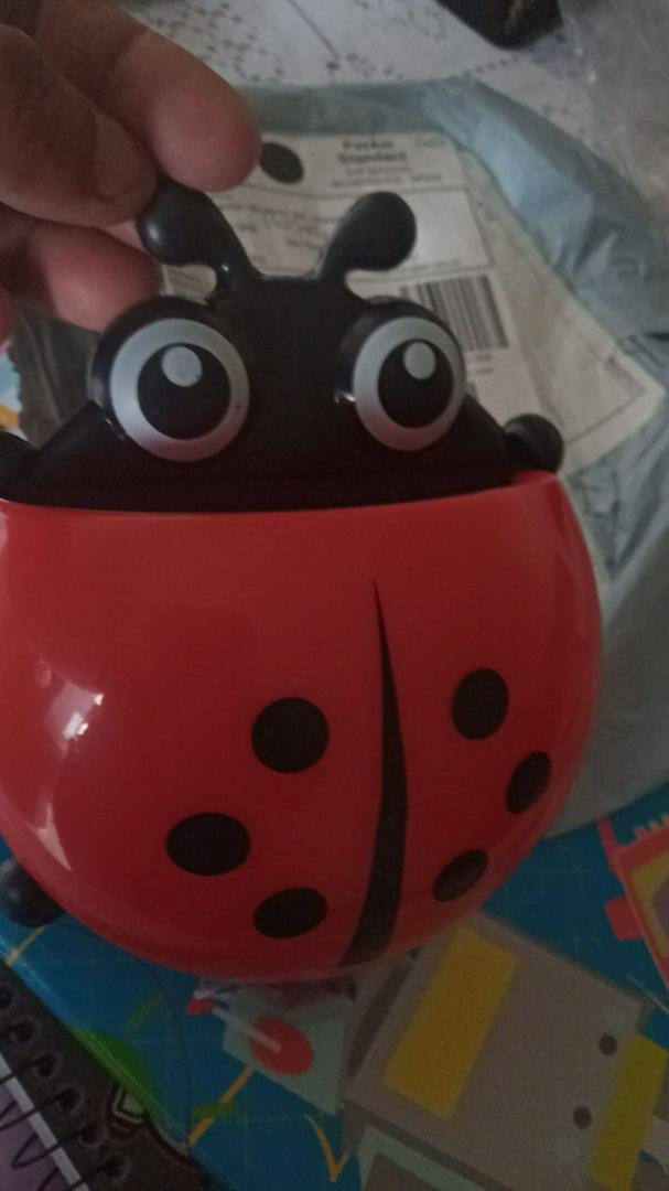 ladybug bath toy holder