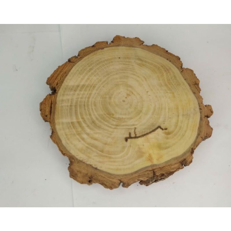 Bolacha de madeira rústica natural 10 cm pra decoração e artesanato