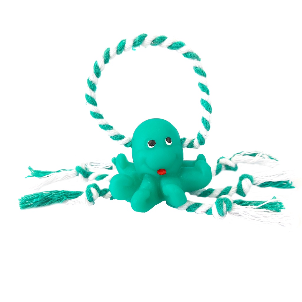 Mordedor Pet Polvo Baby Com Corda - Petgrows em Oferta na Shopee