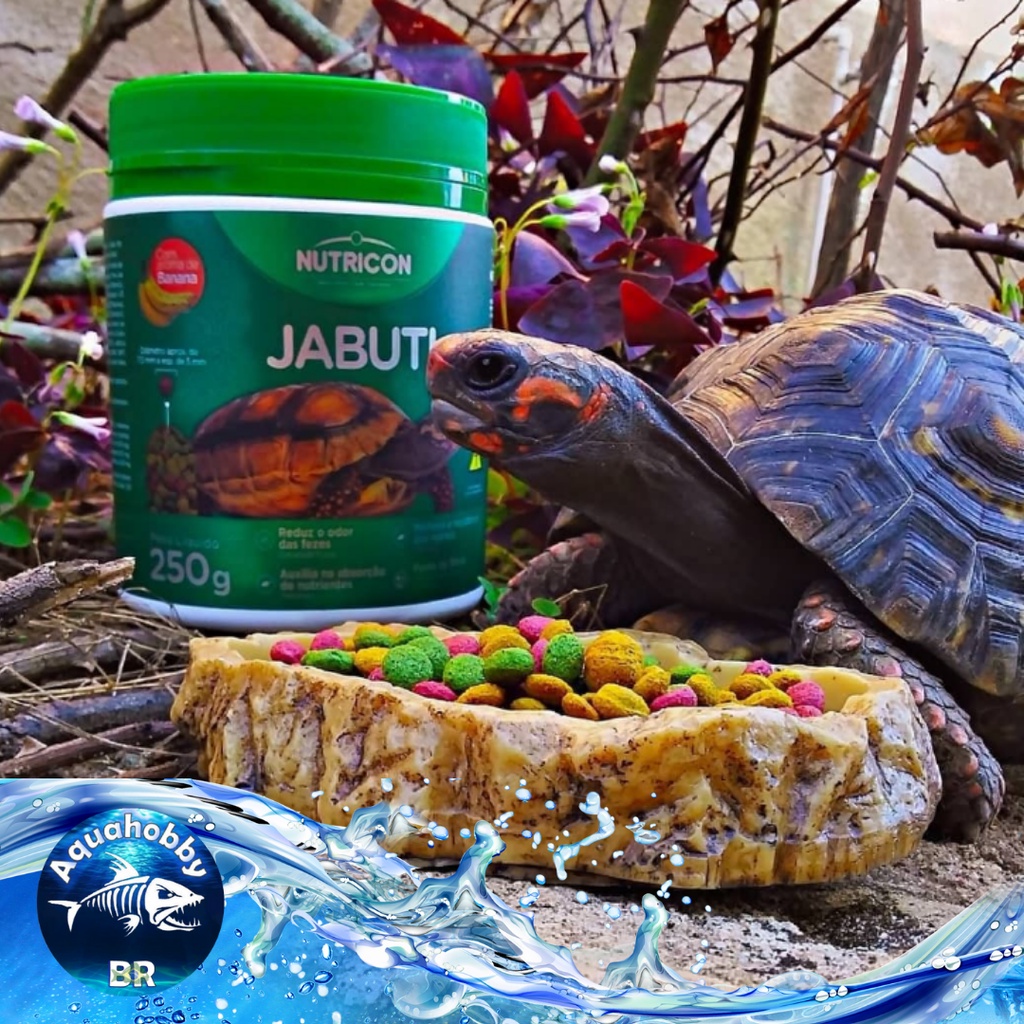 Ração para Jabuti 315g - Nutricon Alimento Completo para seu Pet
