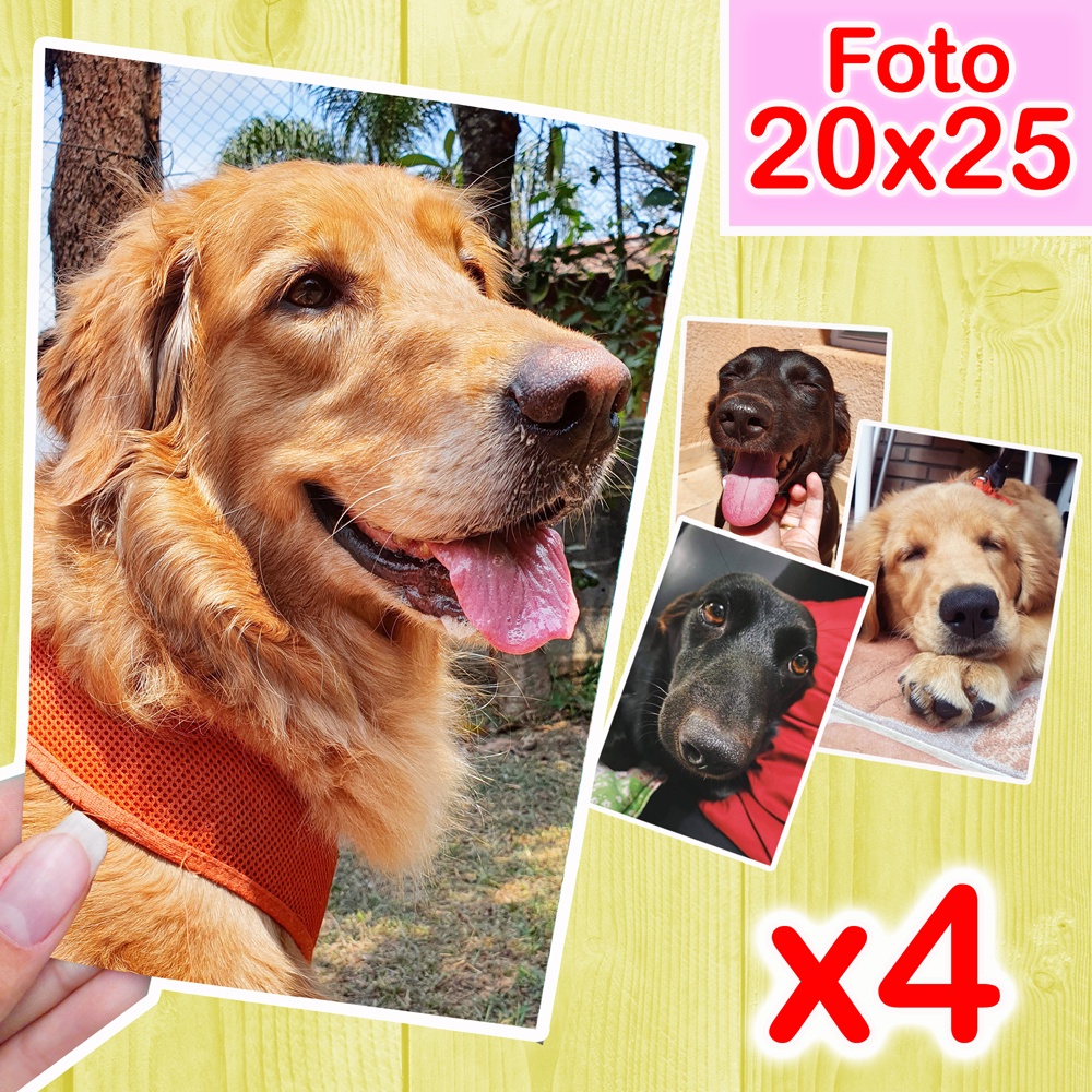 Revelar Fotos 20x25 (4 Unidades) em Oferta na Shopee