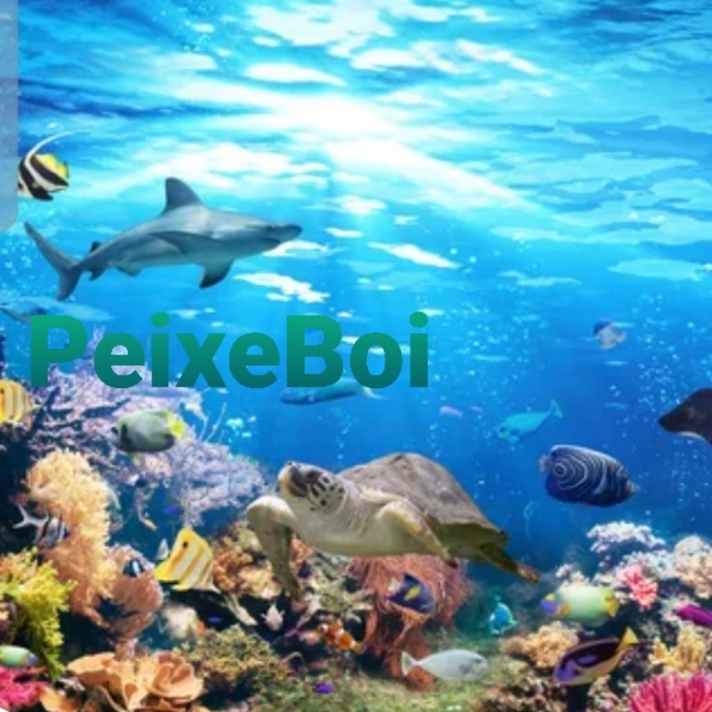 Peixe Boi