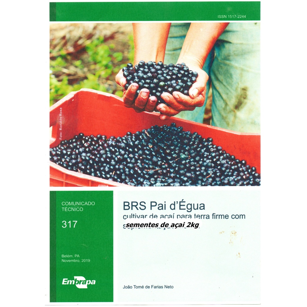 Sementes de açaí BRS Pai d’Égua cultivar de açaí para terra firme 2kg