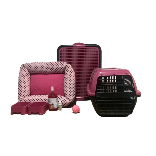 Kit confort Cachorro Xixi Sim/Não Transporte Completo em Oferta na Shopee