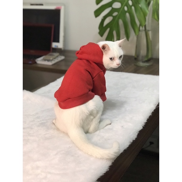 MOLETOM Pet Roupa para cachorro gato cores roupinha vermelho algodão com capuz pug spitz labrador lulu