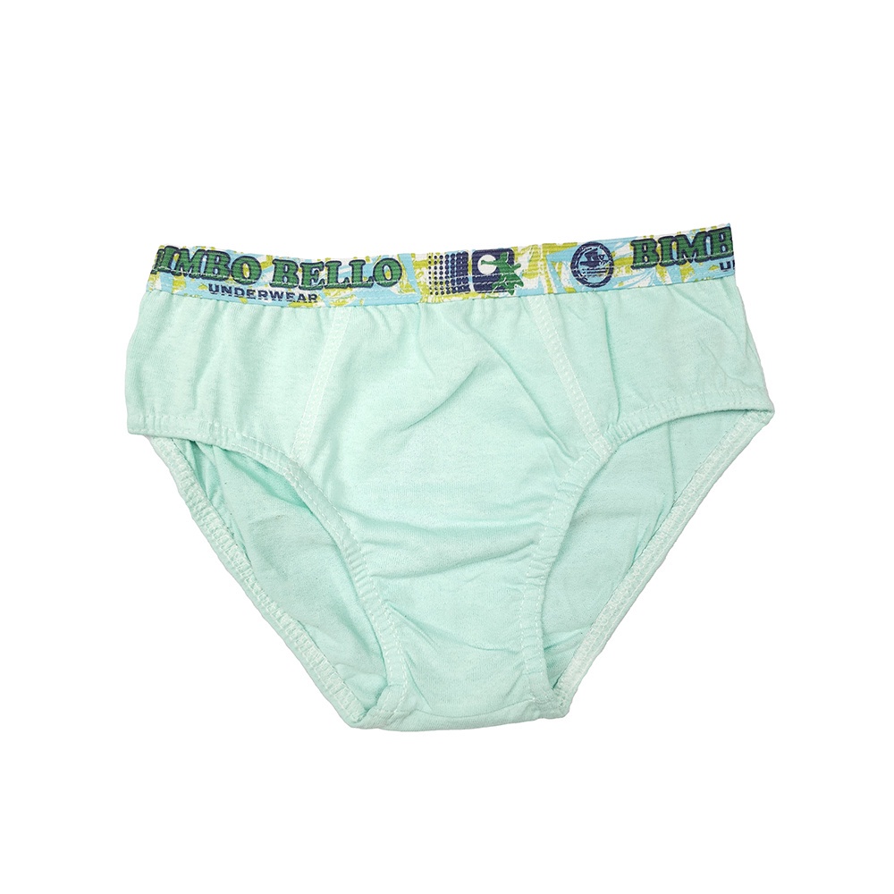 Cuecas Infantil Modelagem Slip Meninos 100% Algodão Sortidas