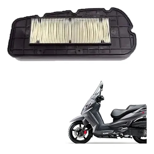 Elemento Filtro De Ar Dafra Citycom 300i S 300i 300i Abs
