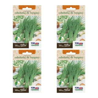 4X Sementes Cebolinha De Tempero Fina (Chives) TOPSEED em Oferta na Shopee