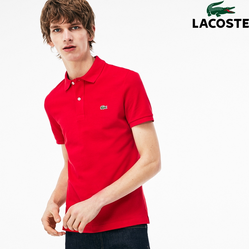 gola polo lacoste original