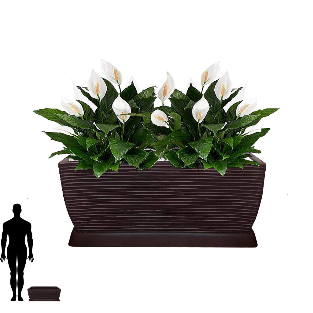Vaso de Planta Jardineira 60x25 cm + Prato Floreira Retangular Decorativa  P/ Horta Em Polietileno | Shopee Brasil
